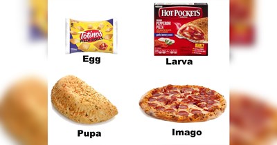 A Mouthful of Hilarious Cooking Memes for Amateur Chefs (July 22, 2026)