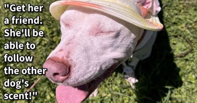 11 Wholesome Ways Pawrents of Deaf and Blind Puppers Brighten their Doggo’s Days