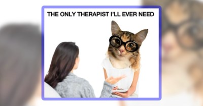 23 Feline Funnies Featuring the Most Cat Pawsts of the Week (July 25, 2026)