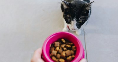 Sister Charges Sibling $12 to Use Her Shower, Flips Out When They Demand Payment for Feeding Her Cat While She’s on Vacation
