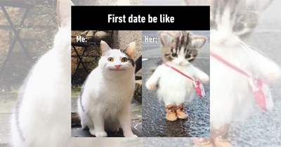‘I’ll pick you up at seven’: Dating memes for all people with first date jitters