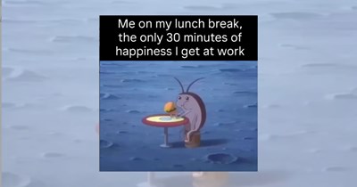 'Who ate my sandwich?’: Fresh lunch break memes for employees wanting to escape work for an hour