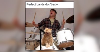 27 Musical Cats Ready to Put on the Purrformance of a Lifetime