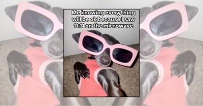 22 Happy Memes to Sprinkle a Little Sunshine Into Your Feed