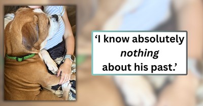 'Have you ever noticed "clues" about their former life?': 5 dog owners share the small behavioral quirks that hint at their rescue dogs' mysterious pasts
