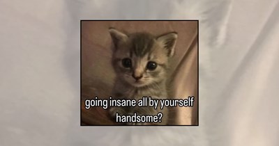 ‘Are You Feline This Connection?’: 23 Flirty Cat Memes With the Cutest Pickup Lines to Impress Your Crush