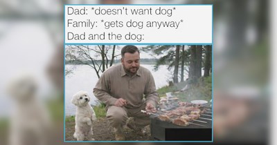 25 Downright Delightful Dog Memes For Dog Dads Indulging in Wholesomeness (July 26, 2026)