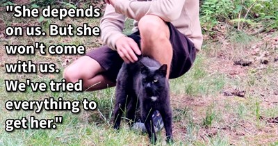 Stray cat officially becomes cat child after couple the cat bonded with over 7 years manage to catch it and bring it with them to their new home, says: ‘She's not just a cat. She's family ...she's one of our kids. And we will always fight for her!’