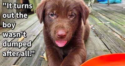 Abandoned puppy miraculously found by dog lovers looking to adopt after being dumped outside their home, but after finding pup is a stray a new rescue mission begins, says: ‘A local pet rescue will take care of the mother and the other pups.’