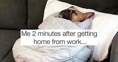 33 Warm and Fuzzy Animal Memes Made to be Shared with Your Critter Loving Colleagues
