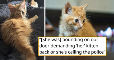 'She called the police': 2 weeks after saving a litter of kittens from starvation, the neighbor's 30-year-old granddaughter demands "her" kittens back, but after being called out for animal neglect, she backs down, and the kittens are safe again