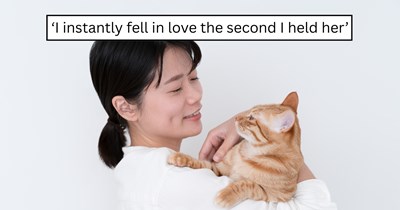 Cat lover drove 30 minutes to meet a stranger and came home with the sweetest tortie kitten and a new best friend