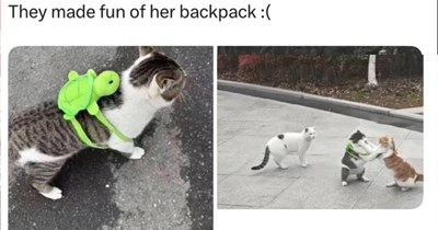 27 Cute Cat Memes to Cuddle Up to While You Try to Make it To Monday’s End 