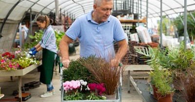 Entitled stranger at Garden Centre insists another shopper works there and demands to speak to his manager to report him when corrected: ‘[He] came rushing up to me, asking where the rhododendrons are…  I said I don't work there’