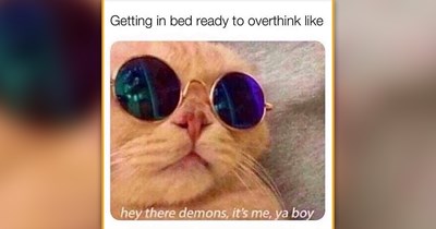 26 Freshly Baked Cat Memes Served With a Sprinkle of Feline Fun