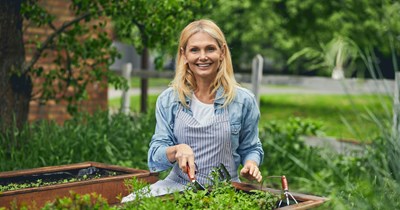 Homeowner rips out neighbor's mint after it takes over her tomatoes and peppers, installs a barrier in their shared garden bed, then neighbor demands she replant it: 'It’s just some herbs' 