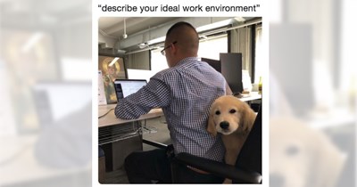 29 Howlsome Pupper Memes to Take the Edge Off this Testing Thursday