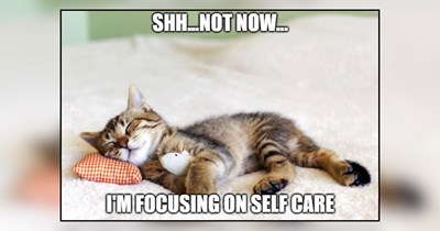 28 Cozy Cat Nap Memes for Everyone Who Wishes It Were Nap Time