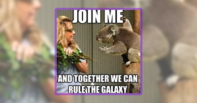 Friday Feral Fun Featuring 25 Wildlife Memes for Wild Souls