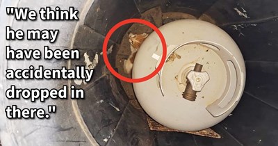 Tiny kitten found hiding under propane tank in garbage saved by passing cat lovers who got the injured feline patched up and found it a loving furever home with their family: ‘I cannot express how thankful I am that we decided to go outside when we did.’
