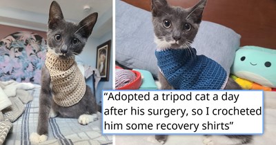 Person crocheted adorable sweaters for their newly adopted three-legged kitten to keep him warm a day after his operation, and he doesn't let being a tripod stop him from jumping around and living his best life 