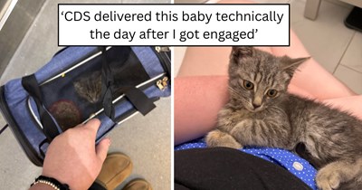 Newly engaged couple rescues a tiny parking lot kitten, but they're hoping they won't have to say goodbye