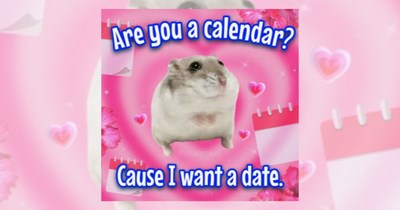 ‘I’ll pick you up at seven’: Dating memes for all people with first date jitters (July 30, 2026)