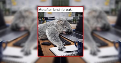"The Forest Knows Best": 21 Whimsical Forest Animal Memes Full of Woodland Wonder