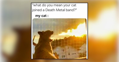 28 Emo Cats Whose Resting Face Screams 'It's Not Just a Phase'