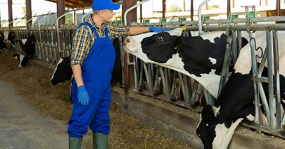 Professionals Discuss 10 Career Paths That Are Glorified By Society, But Are Actually Miserable in Reality: 'Too many people think farming is idyllic and simple.'