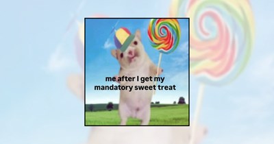 'I Deserve a Little Treat': 23 Sweet Treat Memes Serving Cookies, Cupcakes, and Donuts for Dessert Lovers Needing a Sugar Boost