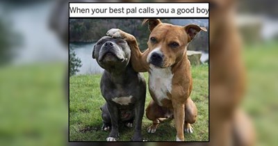 25 Gentle Good Boys and Girls for a Soft and Snuggly Scroll