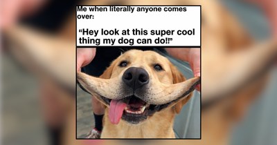 Celebrate National Dog Month With the Sweetest Silliest Good Boys Around