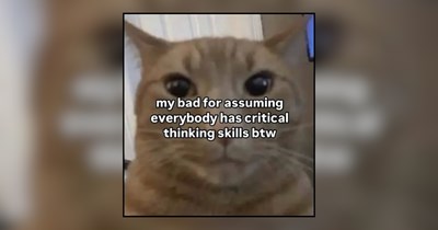 27 Purrfectly Petty Cat Memes Packed With Peak Cattitude