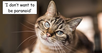 Cat owner worries for his senior cat when pet sitter keeps leaving the garage door open, the internet advices him to stand up for himself: 'Get a new pet sitter'