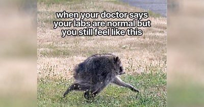 27 Memes for an August Day Sipped Away Like a Bottle of Wine