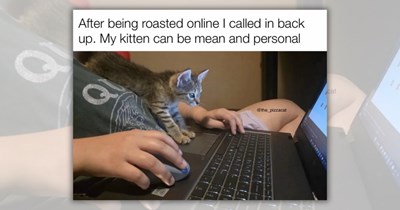 'Why is he cuddling with my hammer': 24 Feline Funnies to Purrsonally Protect Your Bestest Browsing Experience 