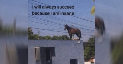 25 Memes That Are an Attractive Offer