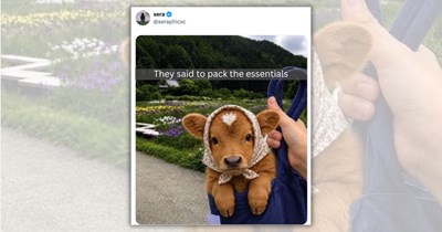 26 Wholesome Animal Tweets and Snaps to Start Your Day With a Stupendous Smile