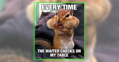 Feral Friday Fun Featuring 25 Wild Animal Memes