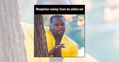 21 Mosquito Memes for Humans Trying to Enjoy Summer Without Becoming the Main Course at Every Outdoor Hangout