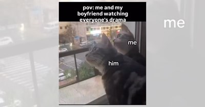 ‘I’ll pick you up at seven’: Dating memes for all people with first date jitters (August 7, 2026) 