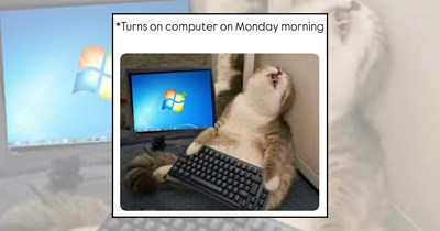 Your Weekly Monday Morning Meeting of 24 Work Memes to Help Employees Kick Off the Workweek With a Laugh (August 10, 2026)