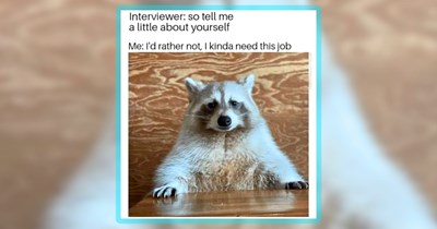 31 Trash Panda Memes to Tolerate a Trashy Monday