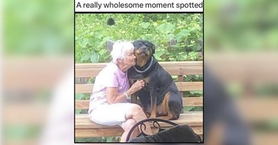 25 Gentle Good Boys Bringing Calm to a Busy Brain