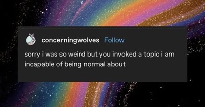 The Funniest Tumblr Memes and Posts of the Week (August 9, 2026)