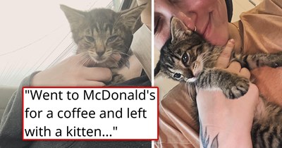 Kitten who really wants to be adopted chases after a mother and child in the McDonald's parking lot, but they don't want him and flee; thankfully, his rescuer was watching the whole thing: 'I ran to grab him'