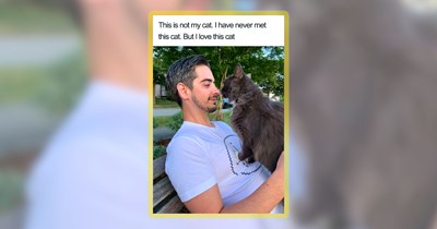 24 Heatrwarming Cat Memes to Warm Your Fuzzy Soul