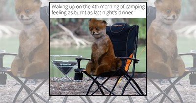 'Sleeping under a million stars': 21 Camping Memes for Happy Campers Who Consider Sleeping on the Ground a Vacation