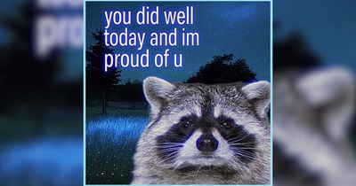 21 Raucous Raccoons Raising a Ruckus on Friday Night